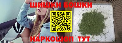 прущие грибы Кандалакша