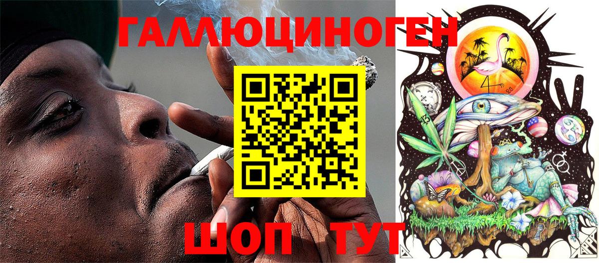 Галлюциногенные грибы Cubensis  Вход с VPN  Лениногорск 